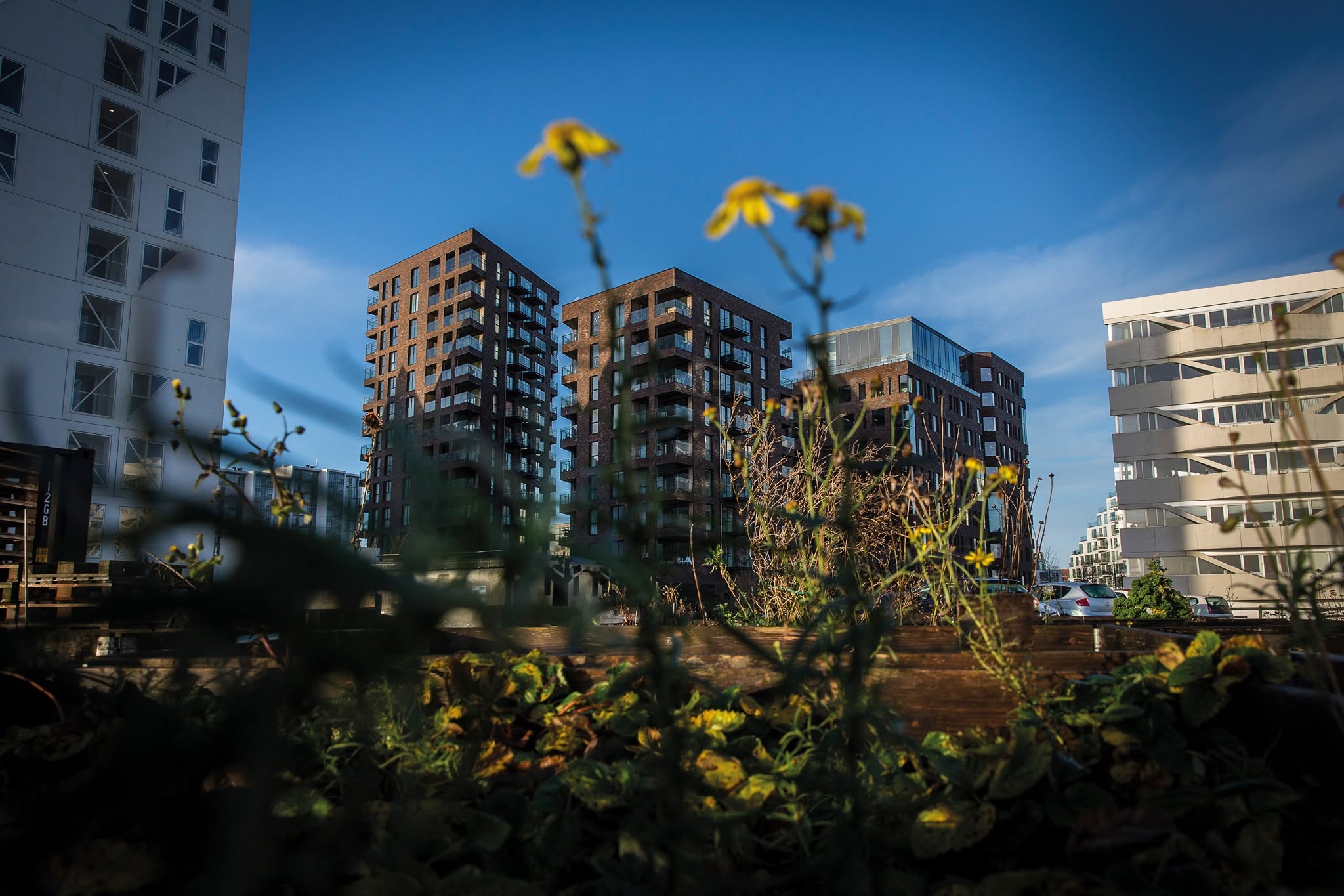 Pakhusene set fra Lighthouse på Aarhus Ø